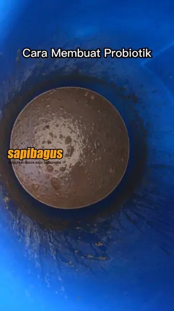 Cara-Membuat-Probiotik